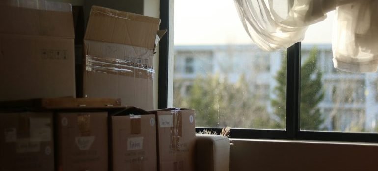 packed boxes