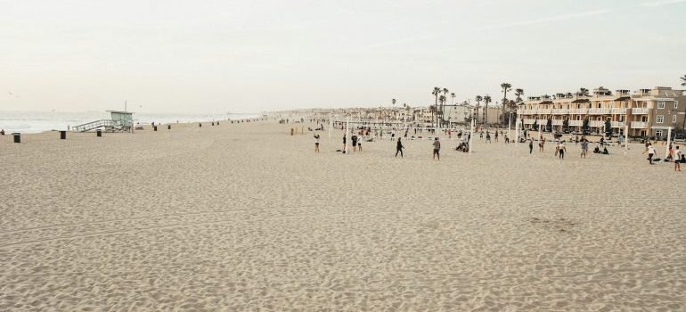 people at the beach