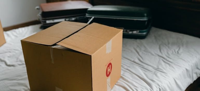 Carton box and suitcases for relocation on bed