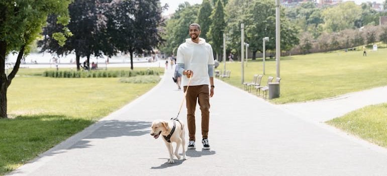 A Man Walking His Dog at the Park