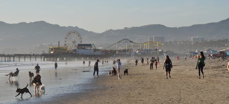 Photo of People at the Beach